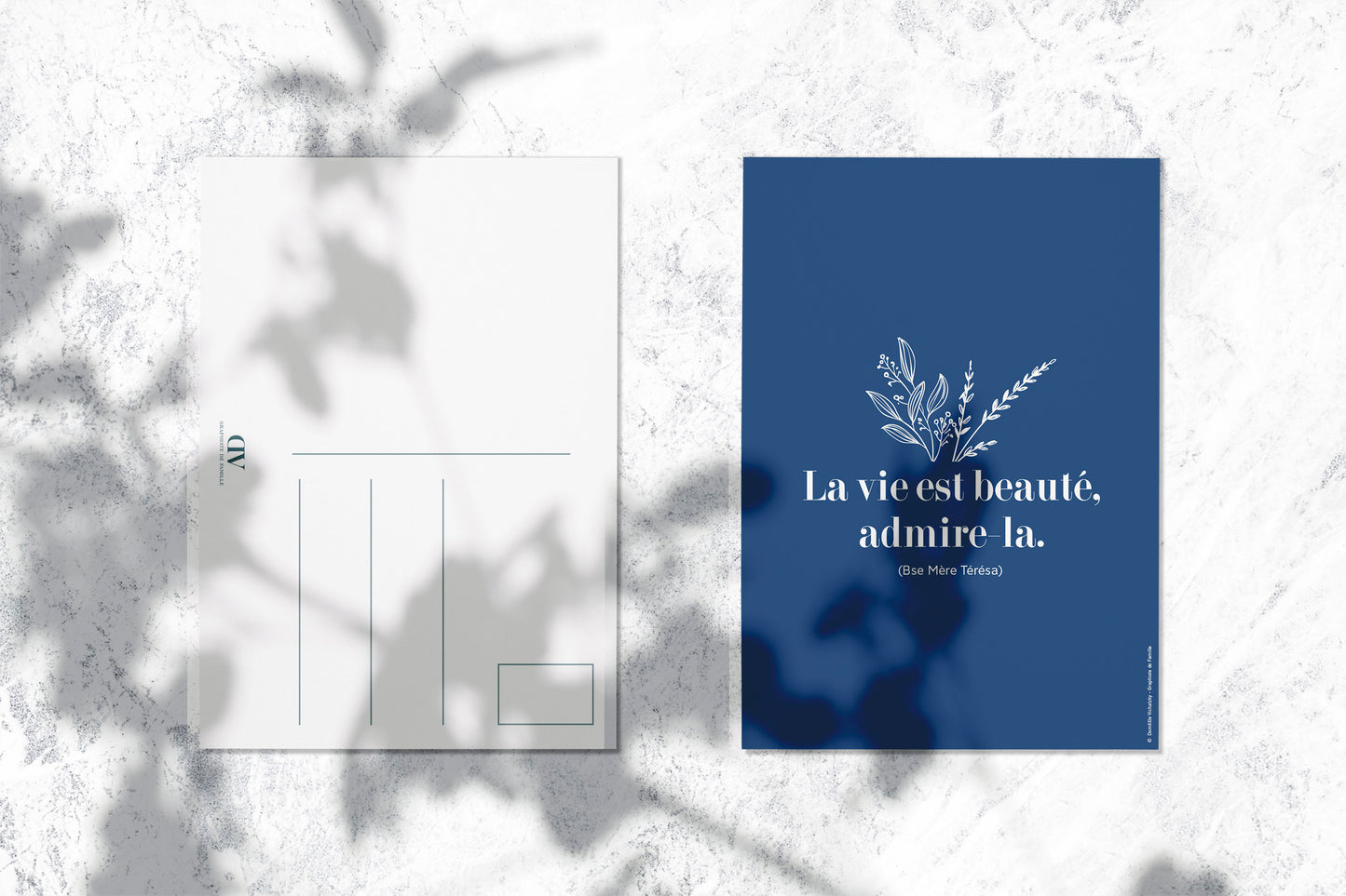 Carte Postale "La vie est beauté, admire-la"